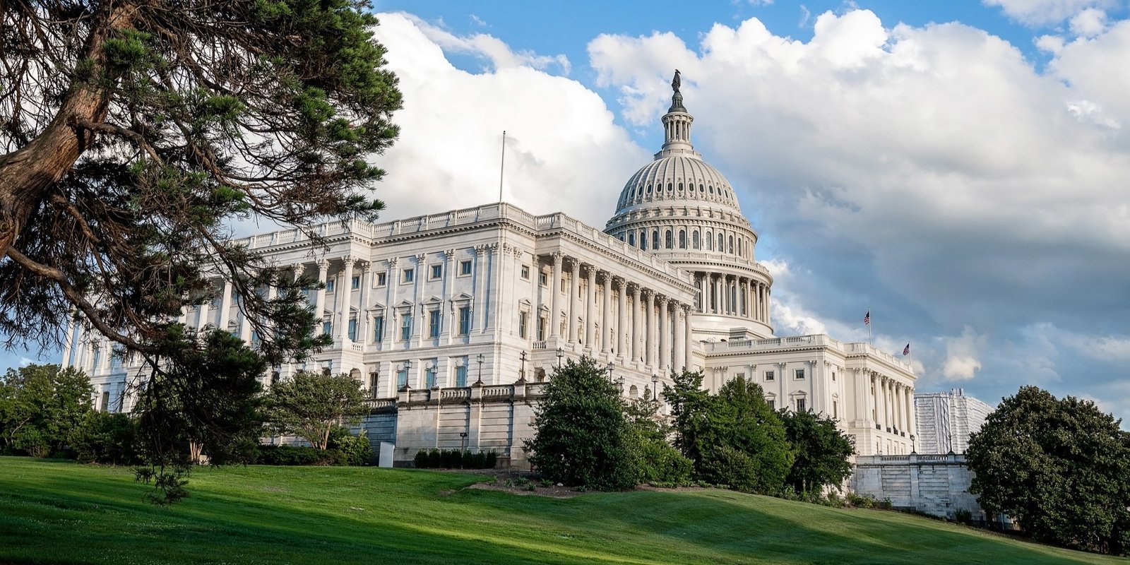 The U.S. Capitol’s white dome and neoclassical façade rise above Washington D.C. green lawns and trees under a bright, partly cloudy sky.