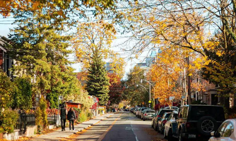 Tree-lined residential street with autumn leaves