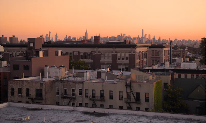 Brooklyn rooftops at sunset
